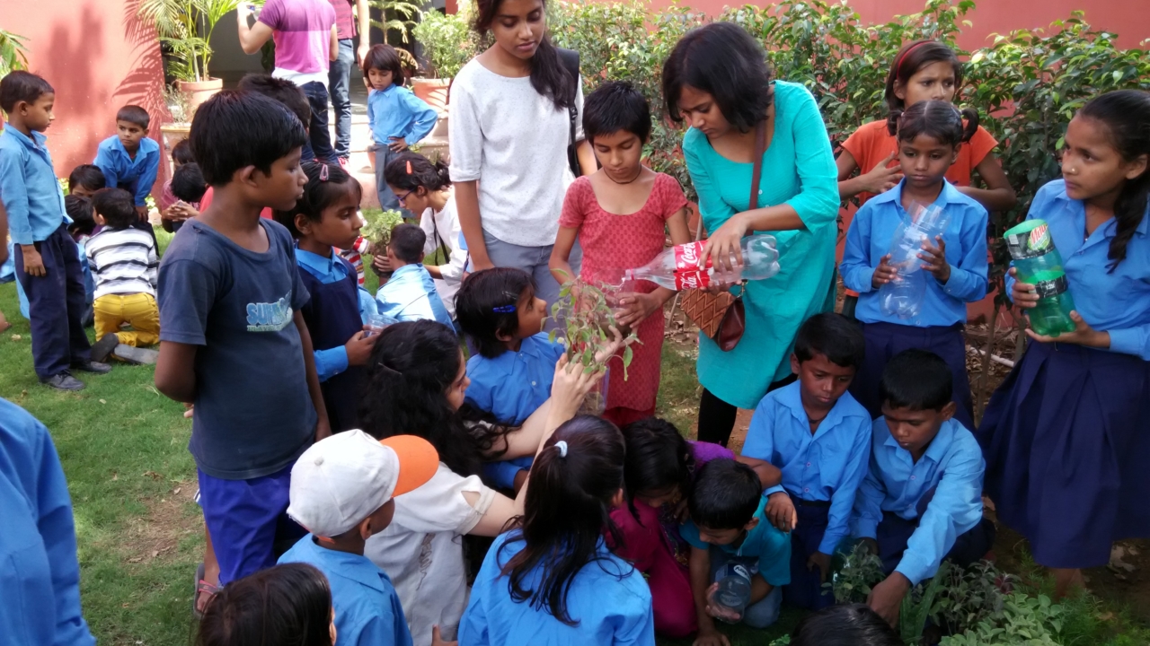 Planting Activity